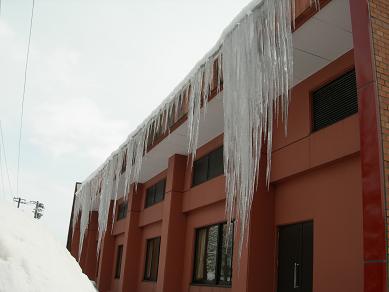 b0129725_10210.jpg