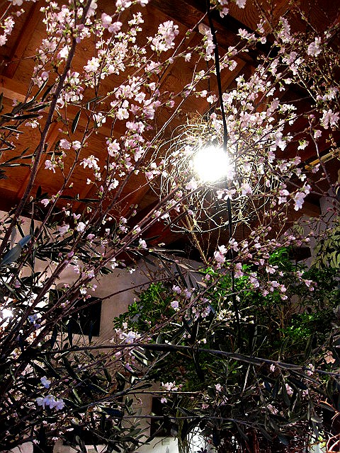 開催中_c0102228_21123741.jpg