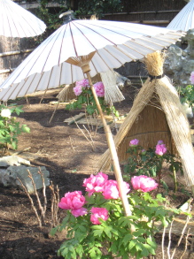 c0121129_22404.jpg