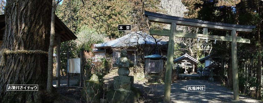 桜井市(出雲）～榛原町（戒長寺）探訪（2010.02.24）⑥戒長寺・・・2_a0016431_17451692.jpg