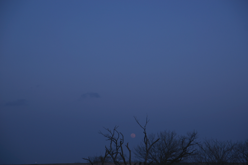 c0216331_6543436.jpg