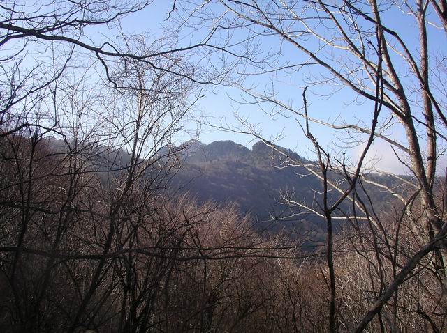 c0029332_2140286.jpg