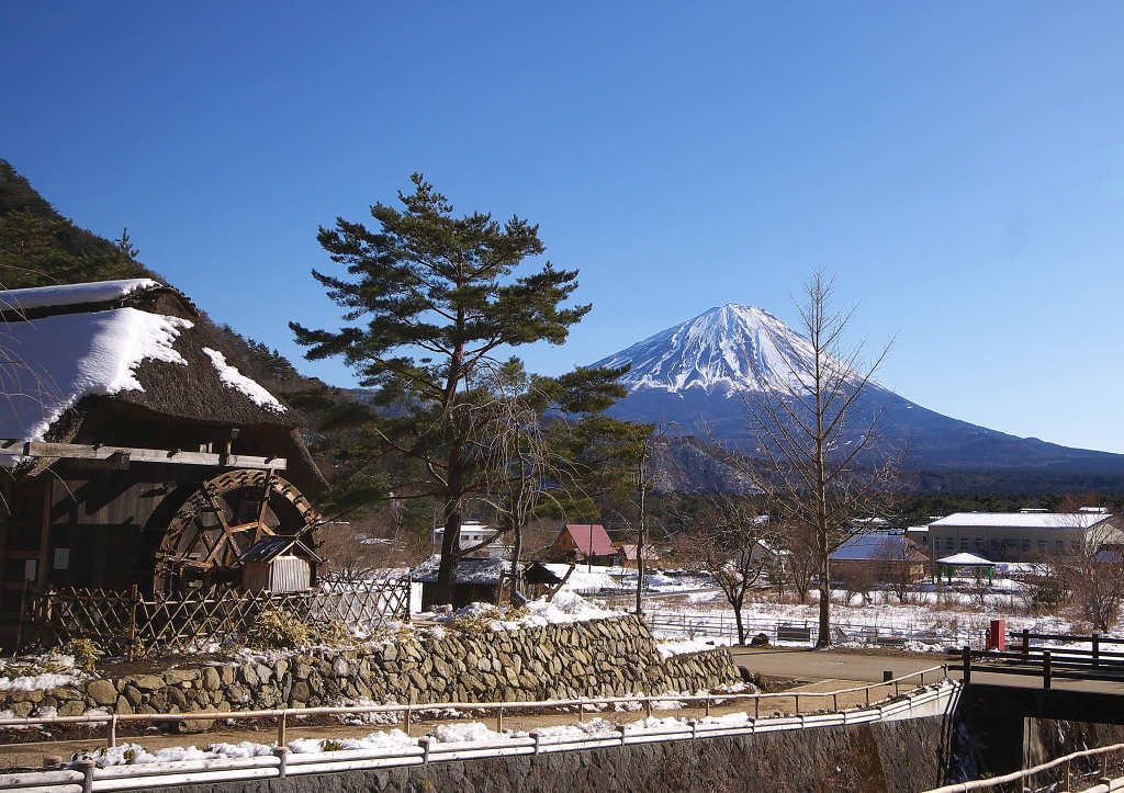 いやしの里・・・永久に_b0162135_2325217.jpg