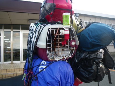 f0046250_1255244.jpg