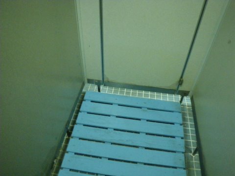 f0046250_1393033.jpg