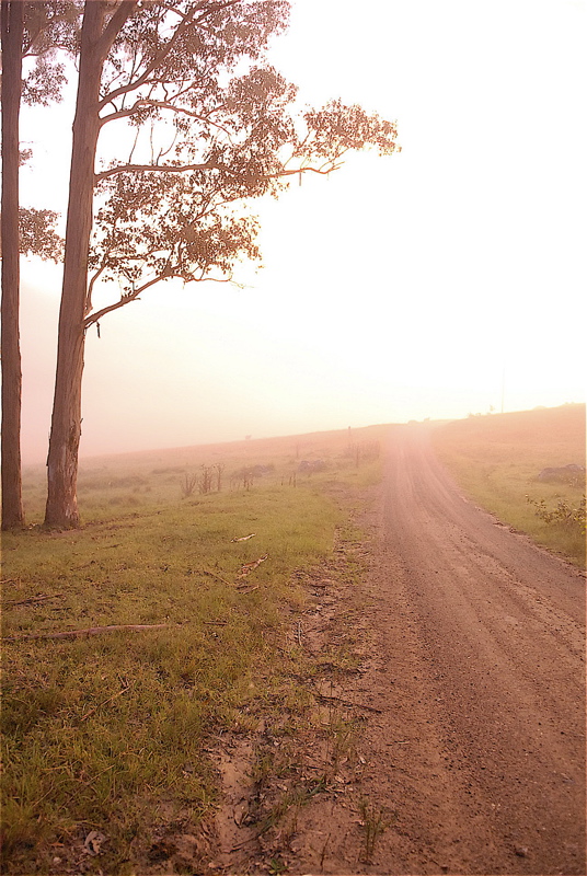 ワタガン・クリーク・ロード　Watagan Creek Rd その2_b0014152_5141636.jpg