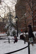 f0063659_56268.jpg