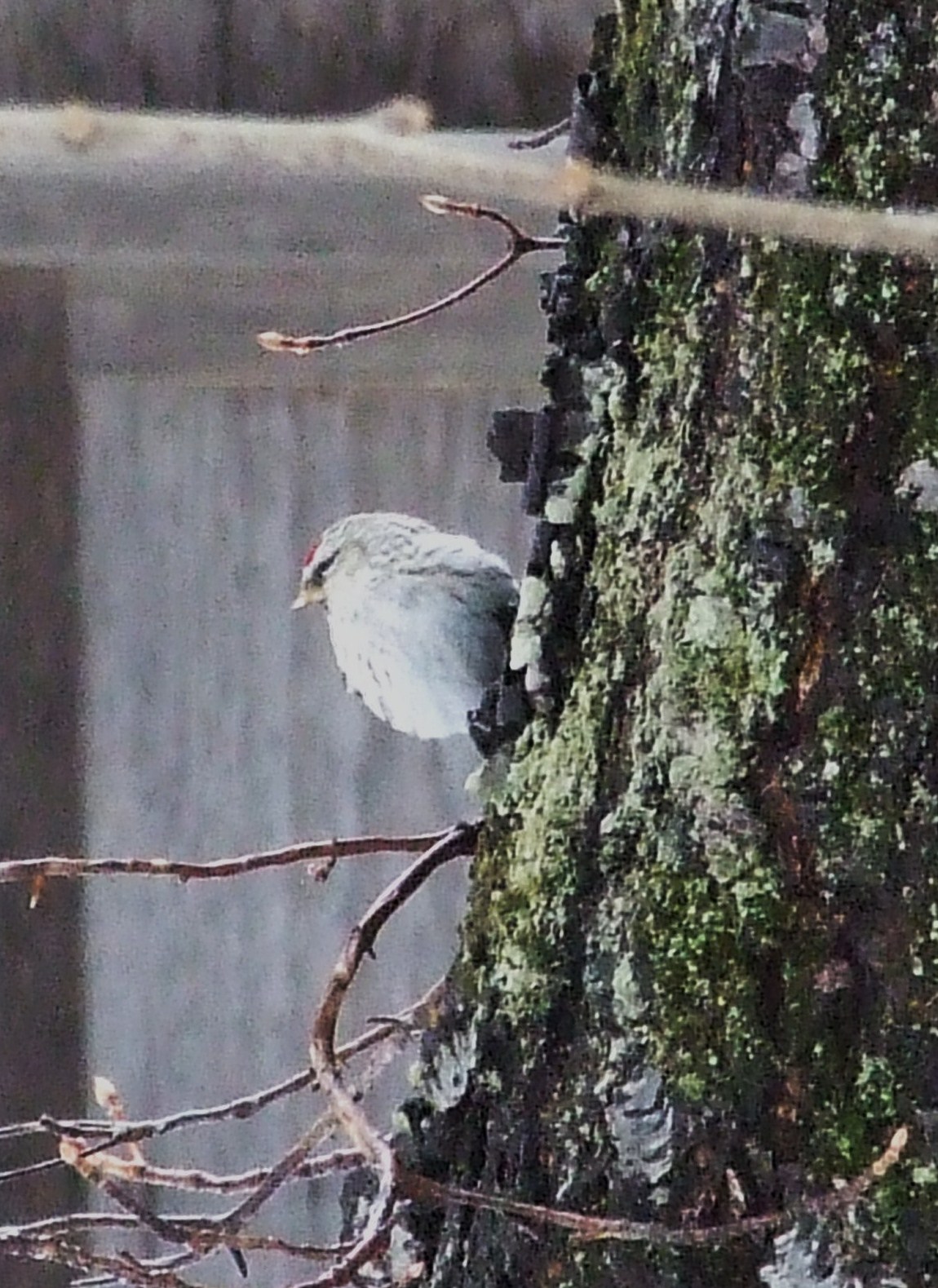 b0165760_121655.jpg