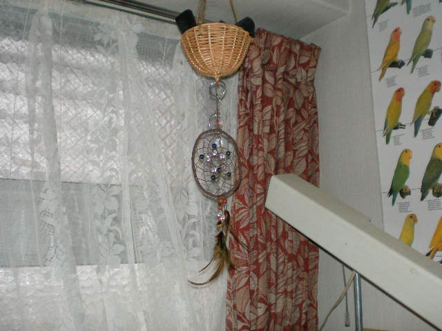 d0142061_1005090.jpg