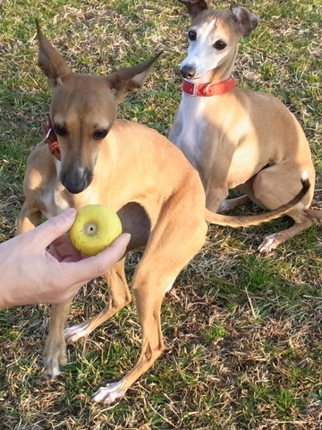 f0158862_2052201.jpg
