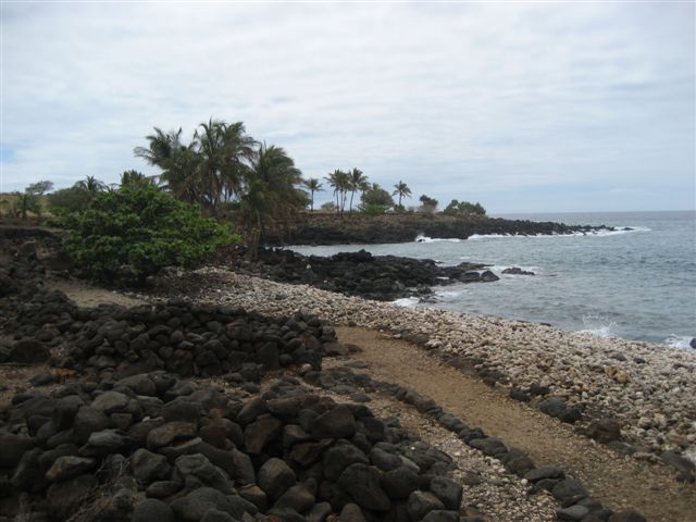 a0123465_24285.jpg