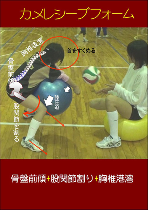 伊豆_c0000970_12334351.jpg