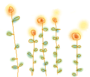 c0211083_136752.gif