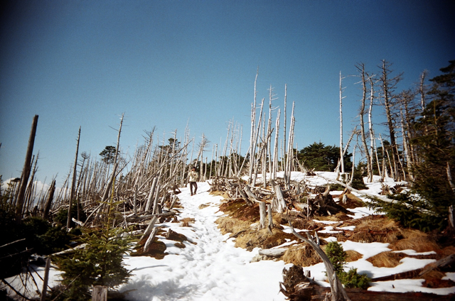 小坪谷〜弥山_e0129083_18242282.jpg