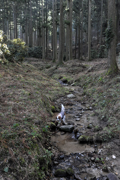 f0112087_1831430.jpg