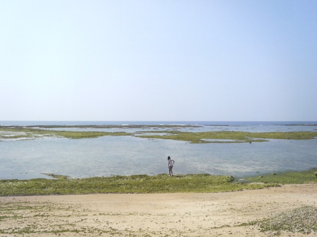 c0193396_1916384.jpg