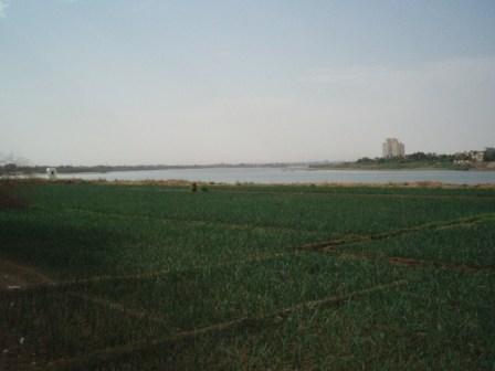 c0187498_18175117.jpg