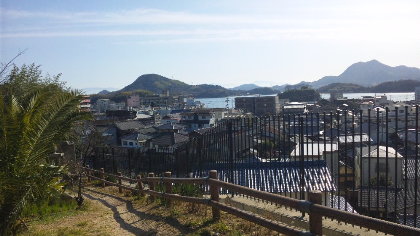 田熊町　菅原神社の大楠_f0098002_19531231.jpg