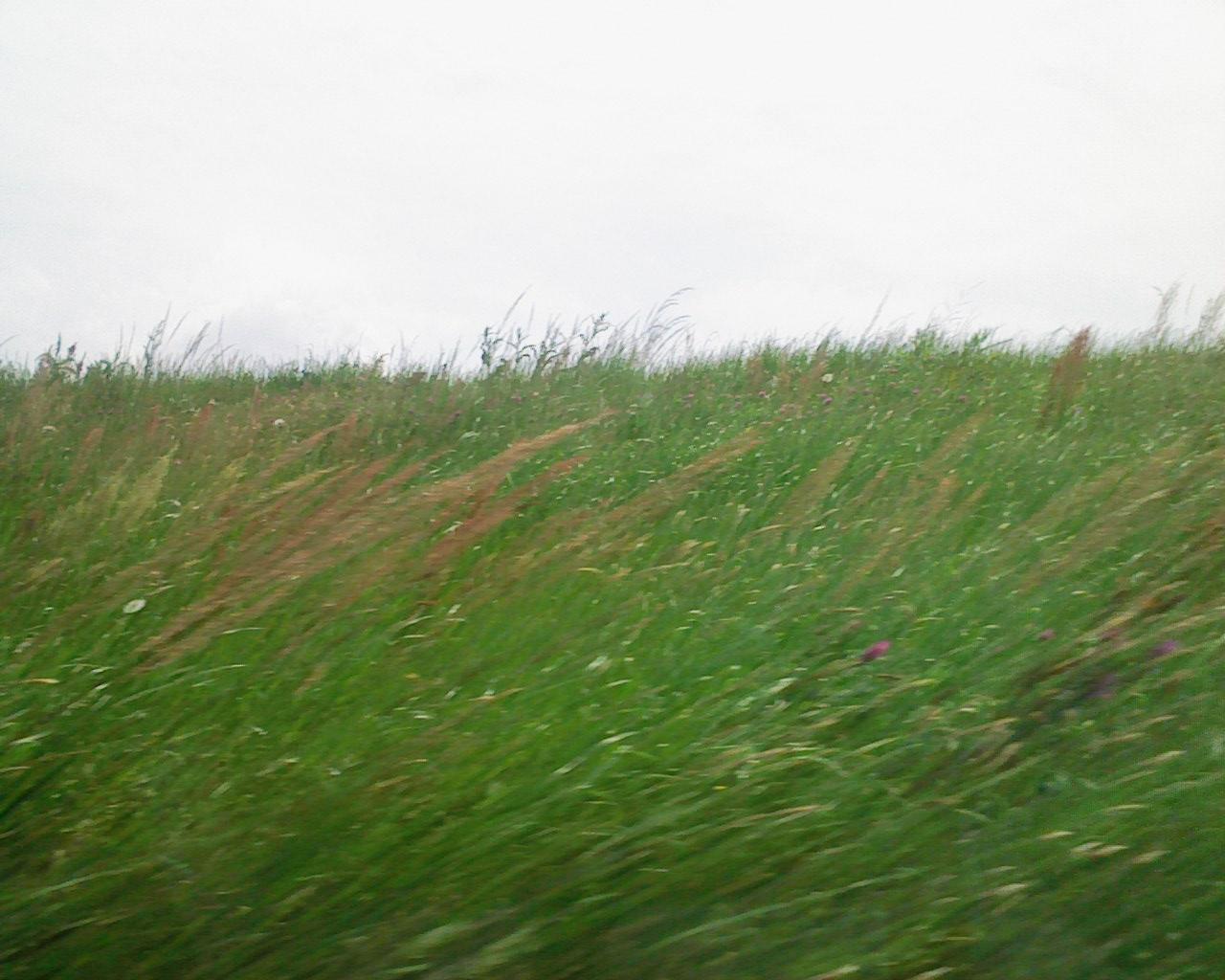 c0098304_23395842.jpg