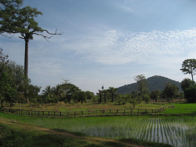a0100706_11113.jpg
