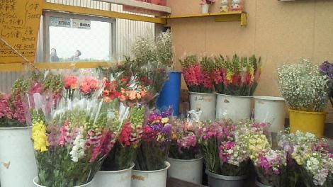 e0087008_8515072.jpg