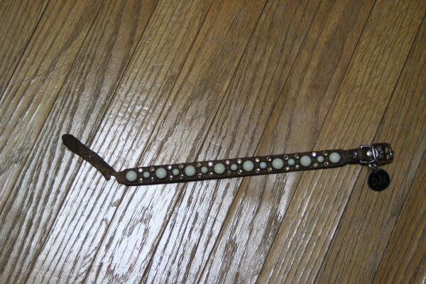 f0186509_20252783.jpg