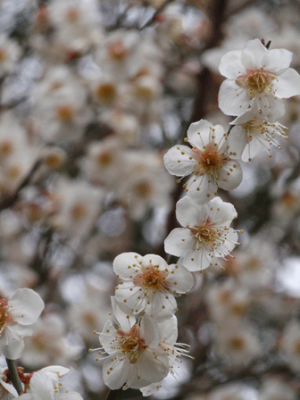 b0176111_22363312.gif