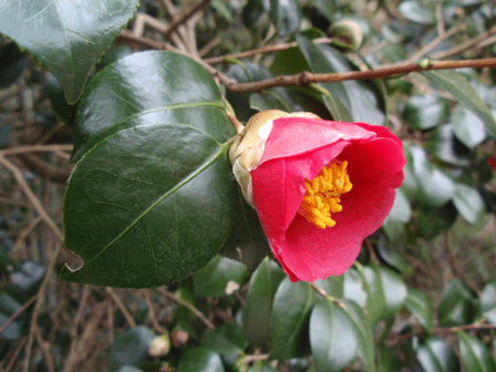 b0176111_22374430.gif