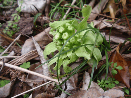 b0176111_22382819.gif