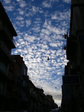 f0133814_7443241.jpg