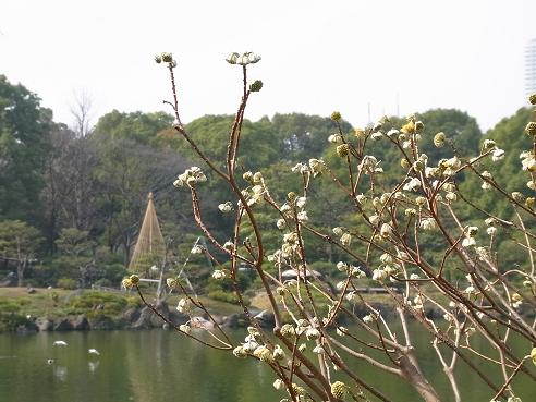 c0192215_16285164.jpg