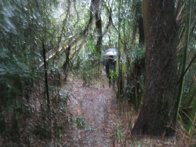 e0156224_22415832.jpg