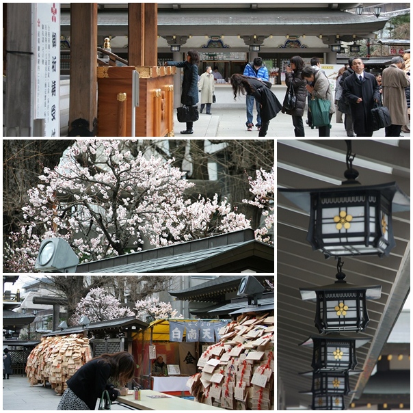 文京区湯島天神の梅まつり_e0052135_1791861.jpg