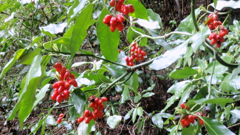 b0168843_14373740.jpg
