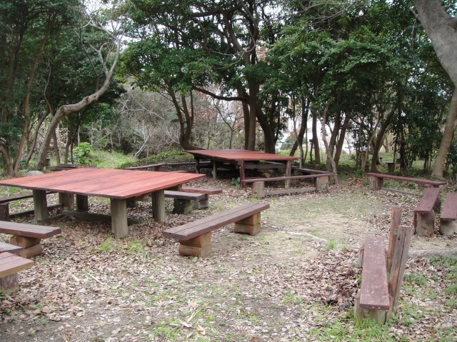 c0108460_2122180.jpg