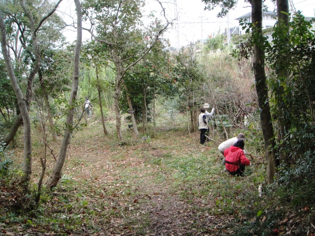 c0108460_21495.jpg