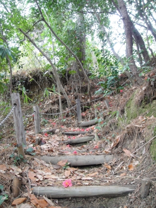 c0108460_2171375.jpg