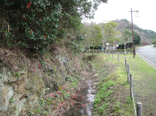 c0108460_2173138.jpg