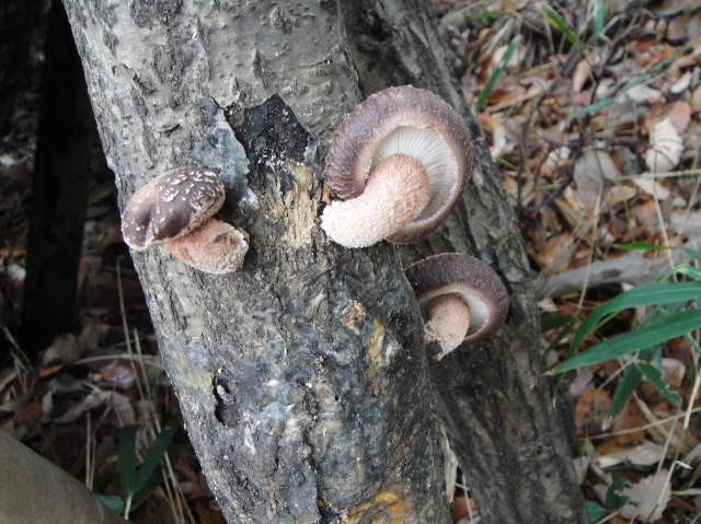 c0108460_218179.jpg