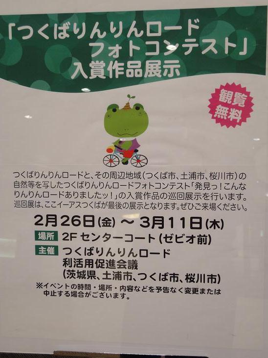 つくば りんりんロード 花盛り_b0124462_16252868.jpg