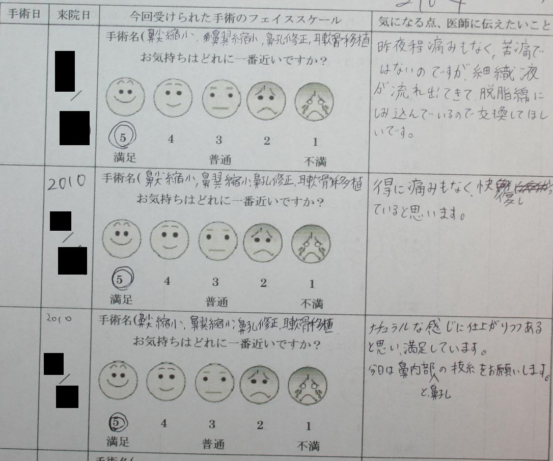 鼻尖縮小形成術、小鼻縮小形成術、鼻尖部軟骨移植術、鼻孔縁挙上術_d0092965_23284938.jpg