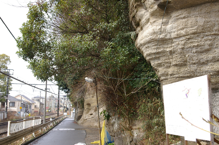 北鎌倉洞門山宅地開発、施主が小俣組に変更（10・2・23）_c0014967_1031713.jpg