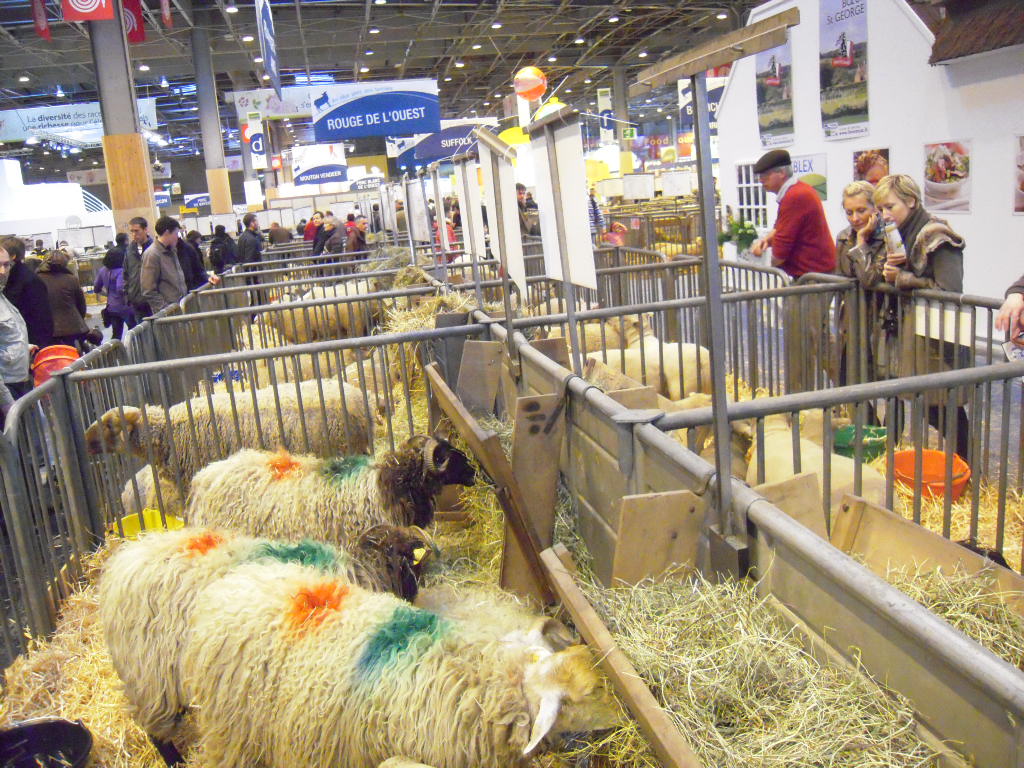 Salon de L\'Agriculture 2010_a0066869_110561.jpg