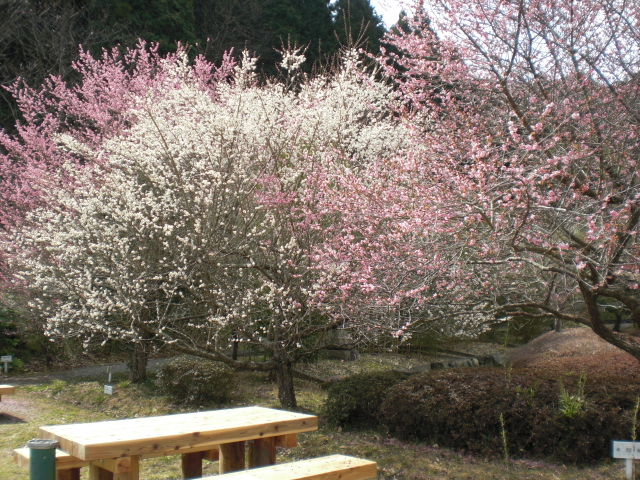 b0157276_16541515.jpg