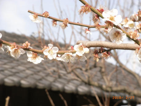 b0002879_030559.jpg
