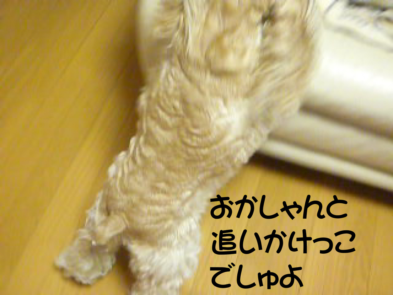 f0218182_16585337.jpg