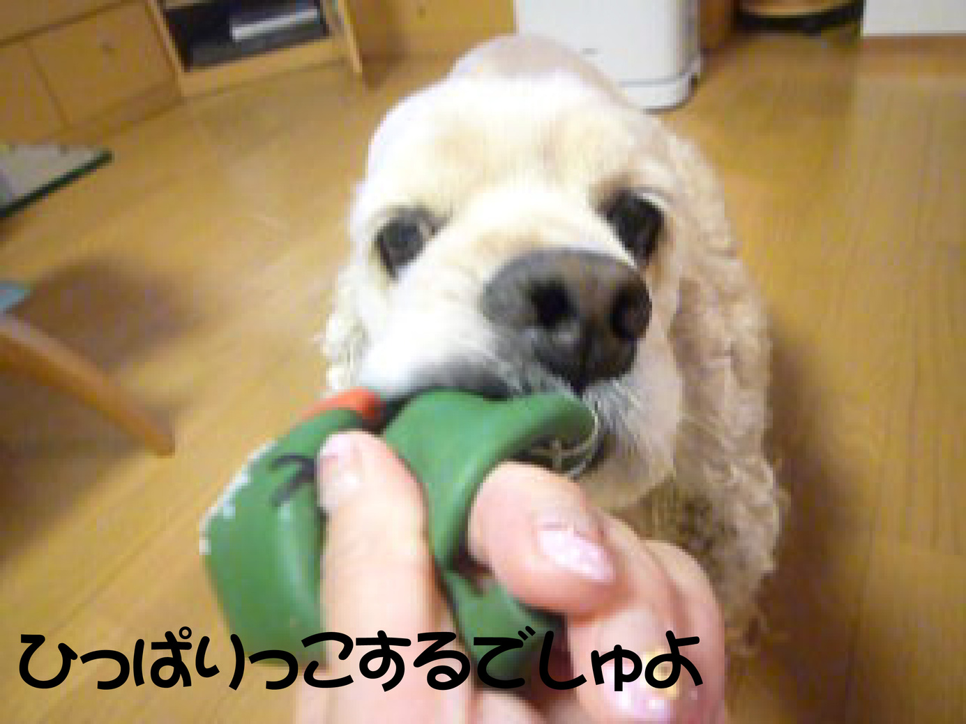 f0218182_1775695.jpg