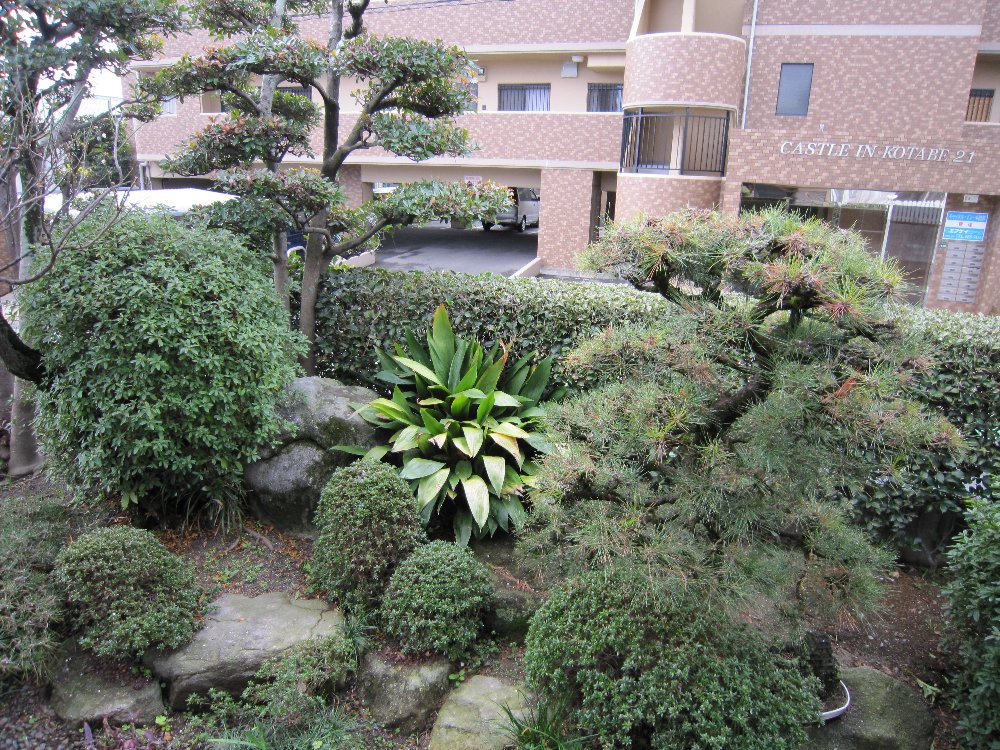 c0149785_13542365.jpg