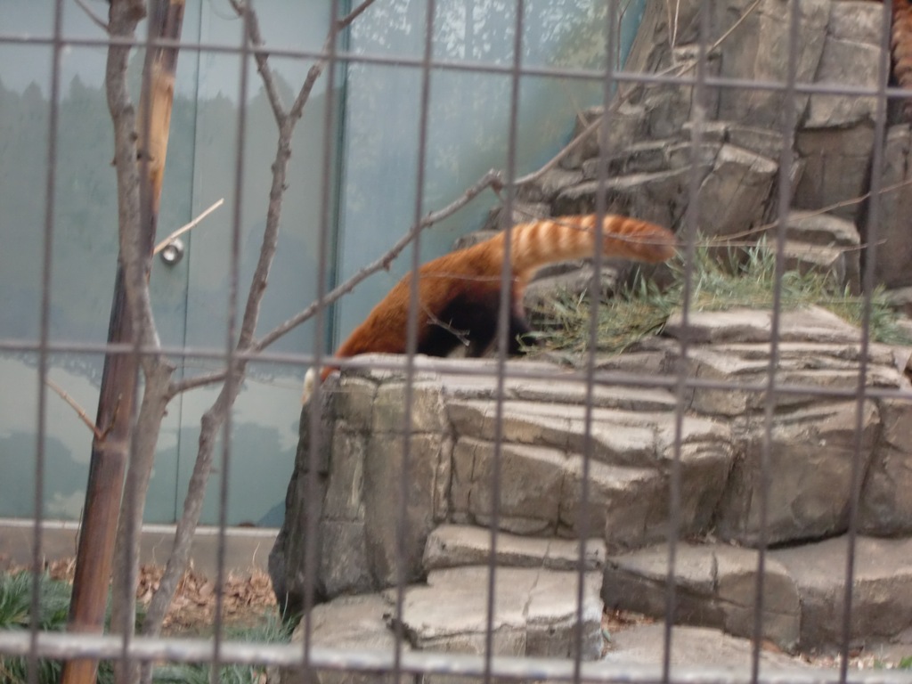 b0029694_28321.jpg