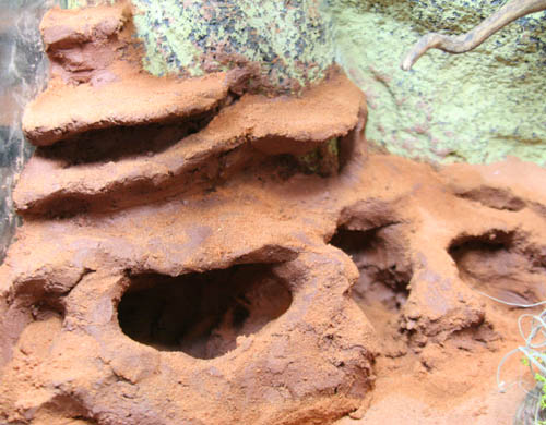 c0165803_228372.jpg